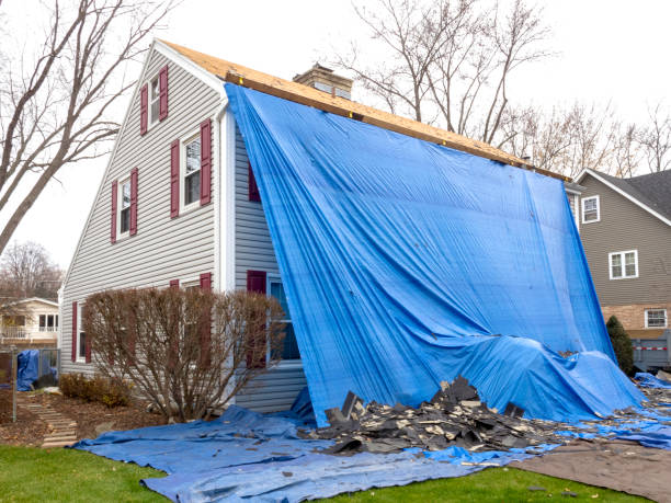 Best Demolition Debris Removal  in Estherville, IA